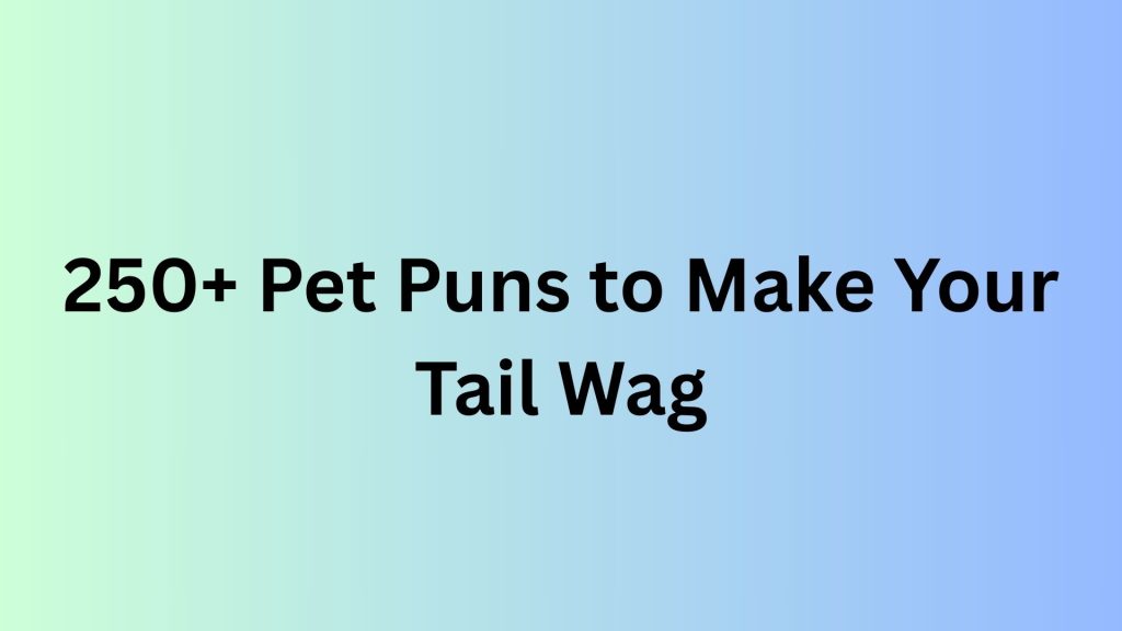 Pet Puns