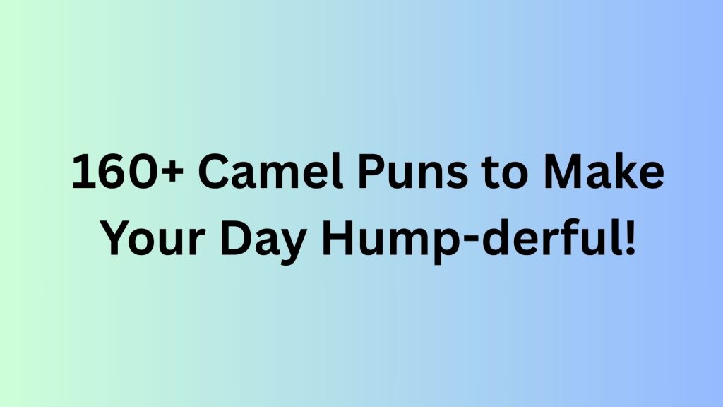 Camel Puns