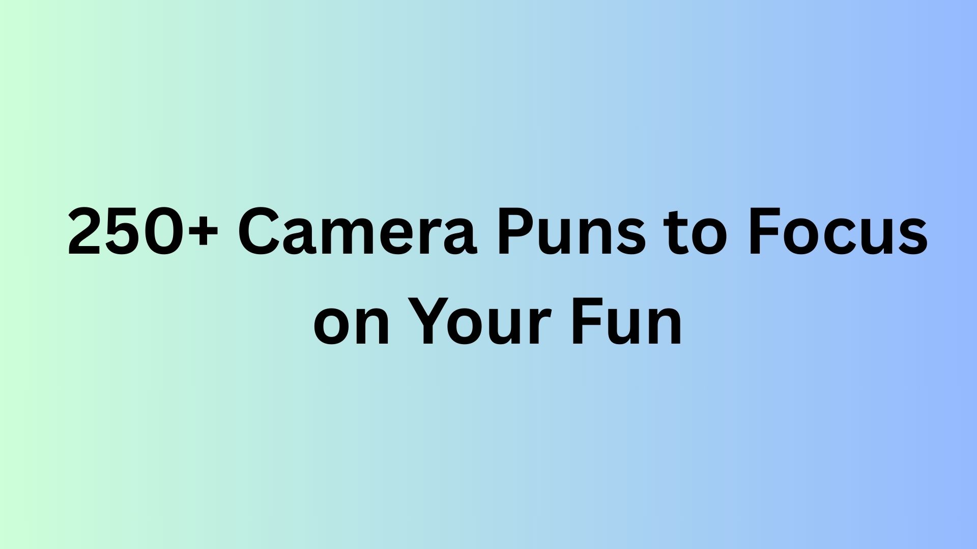 Camera Puns