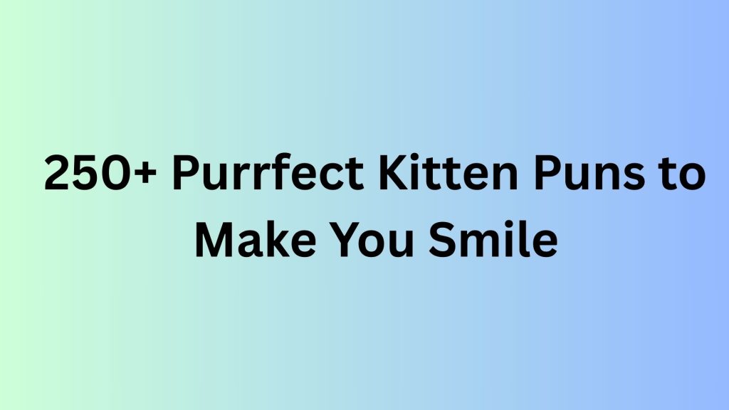 Kitten Puns