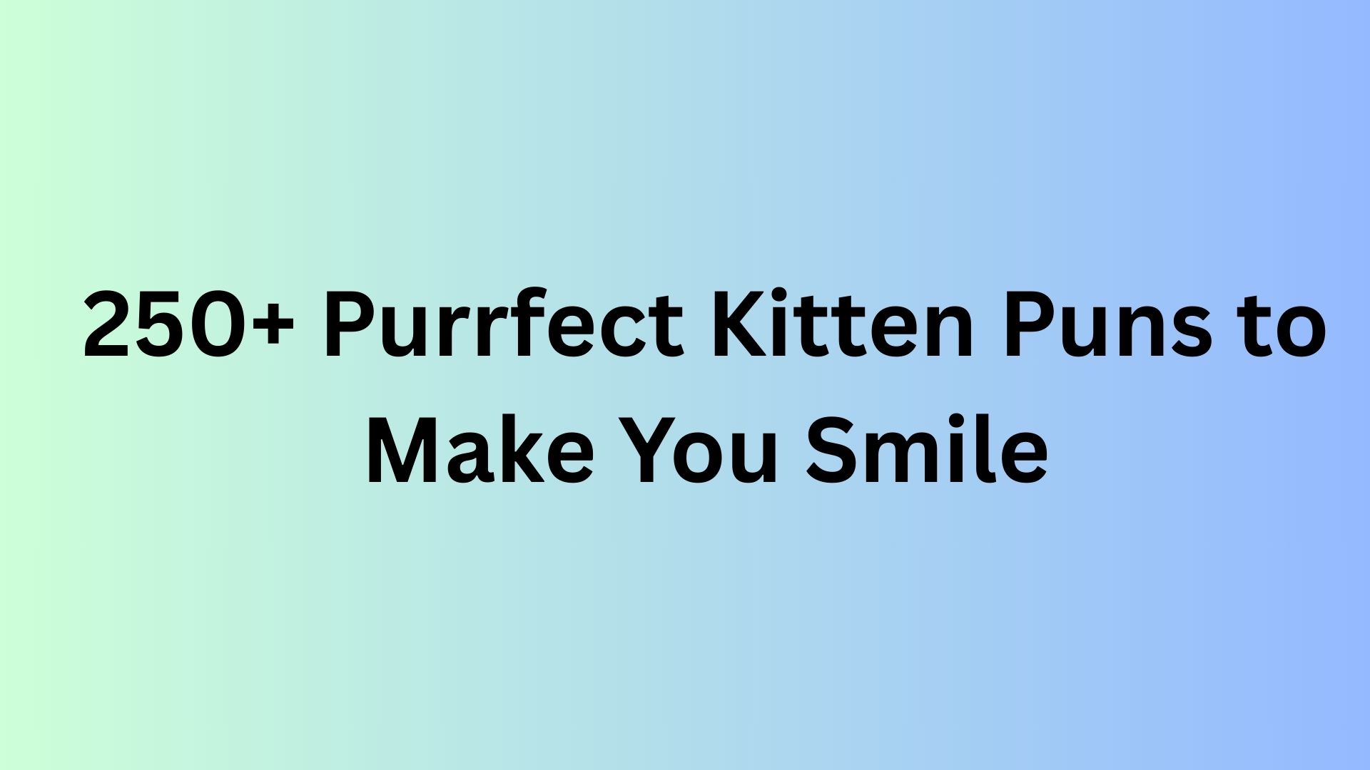 Kitten Puns