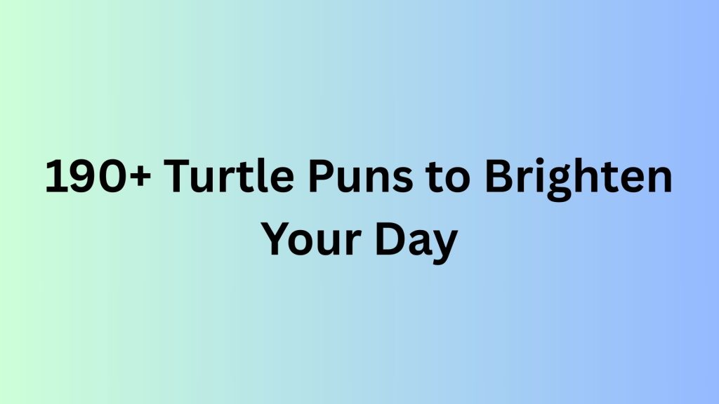 Turtle Puns