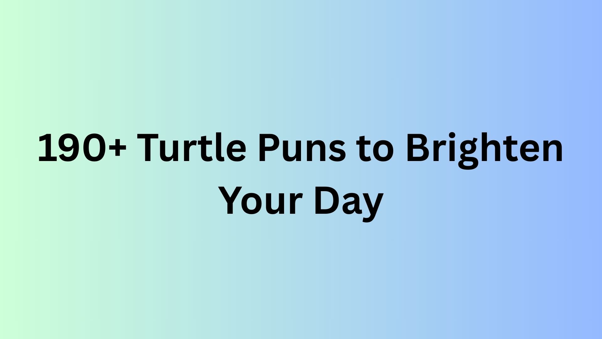 Turtle Puns